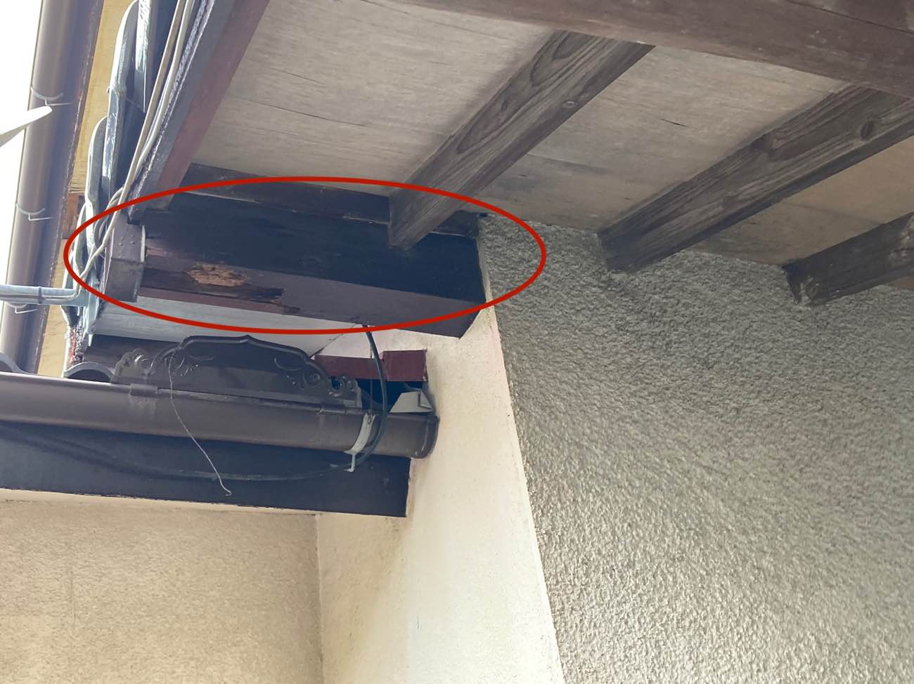 外観部分の補修